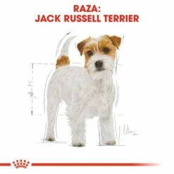 Royal Canin Jack Russell Terrier Adult Pienso Para Perro Adulto De Raza -Suministros De Mascotas Ventas 2024 39615 3 2 g