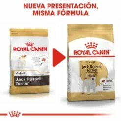 Royal Canin Jack Russell Terrier Adult Pienso Para Perro Adulto De Raza -Suministros De Mascotas Ventas 2024 39615 6 5 g