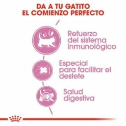 Royal Canin Pienso Mother And Babycat Para Gatitos Y Gatas Gestantes -Suministros De Mascotas Ventas 2024 4 6220bde02b264 g