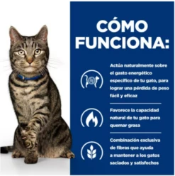 Hill's Pienso Prescription Diet Feline Metabolic Atún Para Gatos 13 Hill's Pienso Prescription Diet Feline Metabolic Atún Para Gatos -Suministros De Mascotas Ventas 2024 4 6442770d4fe80 g