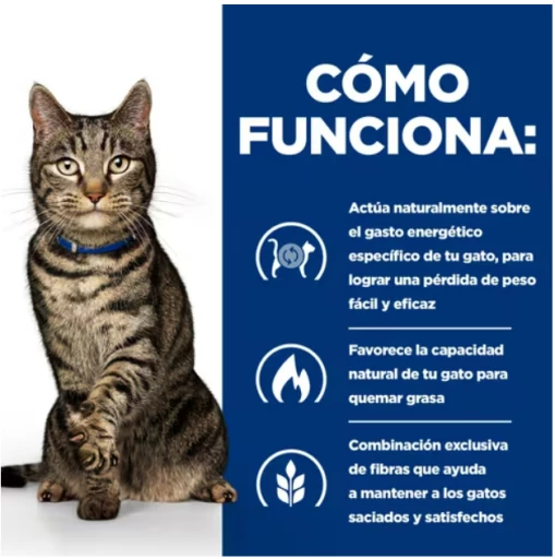 Hill's Pienso Prescription Diet Feline Metabolic Atún Para Gatos 6 Hill's Pienso Prescription Diet Feline Metabolic Atún Para Gatos - Imagen 4