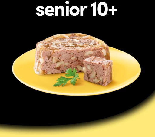 Pack 14 Cesar Comida Húmeda Para Perros Senior En Paté Con Pollo Y Arroz Tarrina 9 Pack 14 Cesar Comida Húmeda Para Perros Senior En Paté Con Pollo Y Arroz Tarrina - Imagen 7