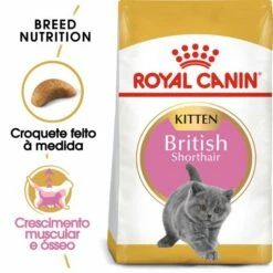 Royal Canin Pienso Kitten Para Gatito De Raza British Shorthair
