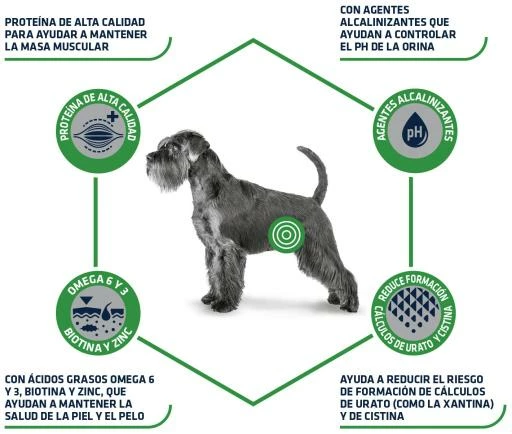 Advance Pienso Urinary Low Purine Para Perro 5 Advance Pienso Urinary Low Purine Para Perro - Imagen 3