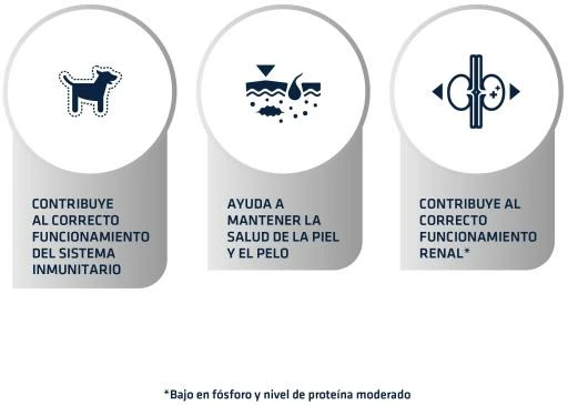 Advance Pienso Urinary Low Purine Para Perro 7 Advance Pienso Urinary Low Purine Para Perro - Imagen 5