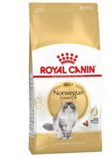 Royal Canin Norweigan Forest Pienso Para Gato Adulto Bosque De Noruega 4 Royal Canin Norweigan Forest Pienso Para Gato Adulto Bosque De Noruega - Imagen 2