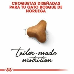 Royal Canin Norweigan Forest Pienso Para Gato Adulto Bosque De Noruega 14 Royal Canin Norweigan Forest Pienso Para Gato Adulto Bosque De Noruega -Suministros De Mascotas Ventas 2024 42931 2 g
