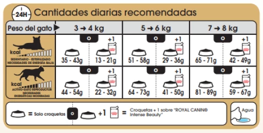 Royal Canin Norweigan Forest Pienso Para Gato Adulto Bosque De Noruega 7 Royal Canin Norweigan Forest Pienso Para Gato Adulto Bosque De Noruega - Imagen 5