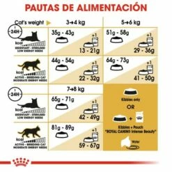 Royal Canin Norweigan Forest Pienso Para Gato Adulto Bosque De Noruega 16 Royal Canin Norweigan Forest Pienso Para Gato Adulto Bosque De Noruega -Suministros De Mascotas Ventas 2024 42931 4 g