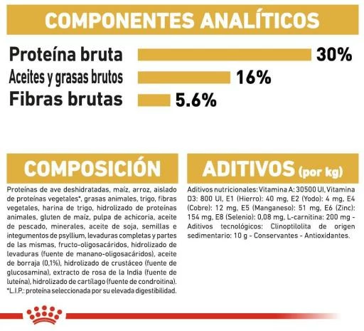 Royal Canin Norweigan Forest Pienso Para Gato Adulto Bosque De Noruega 9 Royal Canin Norweigan Forest Pienso Para Gato Adulto Bosque De Noruega - Imagen 7