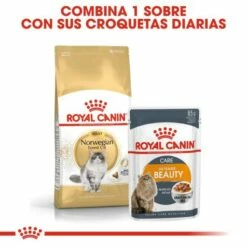 Royal Canin Norweigan Forest Pienso Para Gato Adulto Bosque De Noruega 19 Royal Canin Norweigan Forest Pienso Para Gato Adulto Bosque De Noruega -Suministros De Mascotas Ventas 2024 42931 7 g