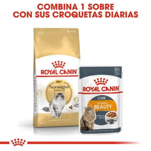Royal Canin Norweigan Forest Pienso Para Gato Adulto Bosque De Noruega 11 Royal Canin Norweigan Forest Pienso Para Gato Adulto Bosque De Noruega - Imagen 9