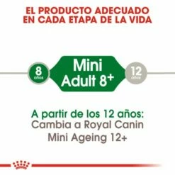 Royal Canin Mini Adult 8+ Pienso Para Perro Sénior De Razas Tamaño Pequeña -Suministros De Mascotas Ventas 2024 43 2 1 g
