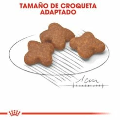 Royal Canin Mini Adult 8+ Pienso Para Perro Sénior De Razas Tamaño Pequeña -Suministros De Mascotas Ventas 2024 43 4 3 g
