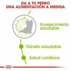 Royal Canin X-Small Ageing 12+ Pienso Perro En Edad Avanzada Tamaño Miniatura -Suministros De Mascotas Ventas 2024 4396 4 3 g