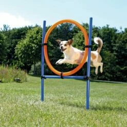 Trixie Anillo Salto Agility, 115xØ 3Cm, Ø 65 Cm