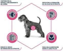 Advance Pienso Urinary Canine Para Perro -Suministros De Mascotas Ventas 2024 4954 3 3 g