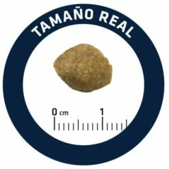 Advance Pienso Urinary Canine Para Perro -Suministros De Mascotas Ventas 2024 4954 5 5 g