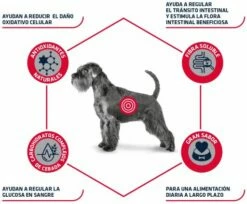 Advance Pienso Diabetes Y Colitis Para Perro Adulto 14 Advance Pienso Diabetes Y Colitis Para Perro Adulto -Suministros De Mascotas Ventas 2024 4956 3 4 g