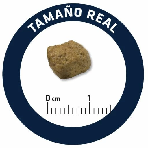 Advance Pienso Diabetes Y Colitis Para Perro Adulto 8 Advance Pienso Diabetes Y Colitis Para Perro Adulto - Imagen 6