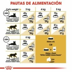 Royal Canin Sphynx Pienso Para Gato Adulto Esfinge -Suministros De Mascotas Ventas 2024 4988 4 g