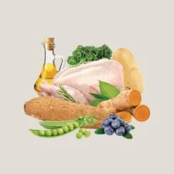 Traveness Pienso Natural Grain Free Receta De Pollo Para Perros -Suministros De Mascotas Ventas 2024 512x512 1 5 64a523f588f87 g