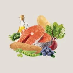 Traveness Pienso Natural Grain Free Receta De Salmón Sensitive Para Perros 10 Traveness Pienso Natural Grain Free Receta De Salmón Sensitive Para Perros -Suministros De Mascotas Ventas 2024 512x512 1 6 64a5248255241 g