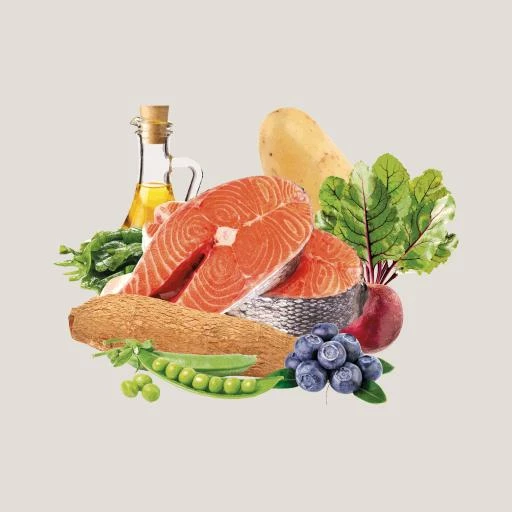 Traveness Pienso Natural Grain Free Receta De Salmón Sensitive Para Perros 5 Traveness Pienso Natural Grain Free Receta De Salmón Sensitive Para Perros - Imagen 3