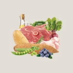 Traveness Pienso Natural Grain Free Receta Hipoalergénica De Cordero Para Perros -Suministros De Mascotas Ventas 2024 512x512 1 7 64a52458b717f g