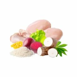 Hantu Pienso Gastrointestinal Para Perro 12 Hantu Pienso Gastrointestinal Para Perro -Suministros De Mascotas Ventas 2024 512x512 4 1 649d647c5e6d9 g