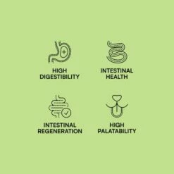 Hantu Pienso Gastrointestinal Para Perro 11 Hantu Pienso Gastrointestinal Para Perro -Suministros De Mascotas Ventas 2024 512x512 5 1 649d645c03341 g