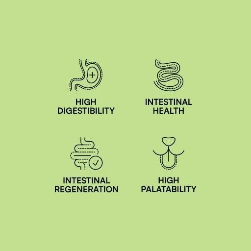 Hantu Pienso Gastrointestinal Para Perro 6 Hantu Pienso Gastrointestinal Para Perro - Imagen 4