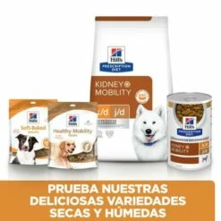 Hill's Pienso Prescription Diet K/d Y J/d Para La Artrosis Y Enfermedades Renales En Perros 10 Hill's Pienso Prescription Diet K/d Y J/d Para La Artrosis Y Enfermedades Renales En Perros -Suministros De Mascotas Ventas 2024 52742047140 6 g