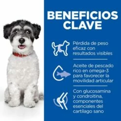 Hill's Pienso Science Plan Perfect Weight & Active Mobility Para Perros Pequeños & Mini De Pollo 9 Hill's Pienso Science Plan Perfect Weight & Active Mobility Para Perros Pequeños & Mini De Pollo -Suministros De Mascotas Ventas 2024 52742052441 3 61fbfecf41c00 g