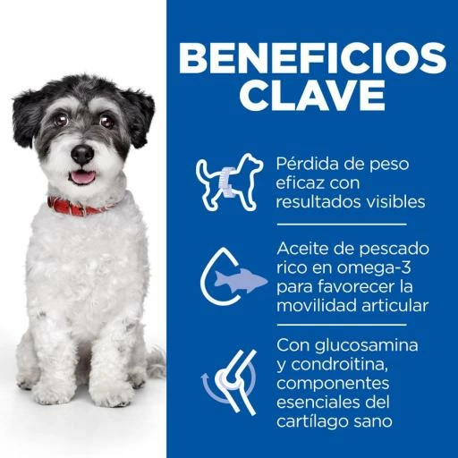 Hill's Pienso Science Plan Perfect Weight & Active Mobility Para Perros Pequeños & Mini De Pollo 5 Hill's Pienso Science Plan Perfect Weight & Active Mobility Para Perros Pequeños & Mini De Pollo - Imagen 3