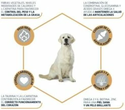 Advance Pienso Para Labrador Adulto 11 Advance Pienso Para Labrador Adulto -Suministros De Mascotas Ventas 2024 539 3 3 g