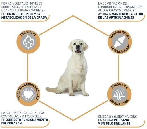 Advance Pienso Para Labrador Adulto 5 Advance Pienso Para Labrador Adulto - Imagen 3