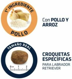 Advance Pienso Para Labrador Adulto 12 Advance Pienso Para Labrador Adulto -Suministros De Mascotas Ventas 2024 539 4 4 g