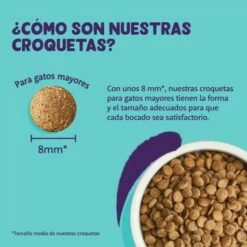 Edgard & Cooper Pienso De Pollo Fresco Y Pavo Fresco De Corral Con Arándanos, Hoja De Ortiga Y Salvia Para Gatos May -Suministros De Mascotas Ventas 2024 6 5407009640384 croqueta 63aad254a8446 g