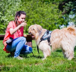 Julius K9 Pelota Idc Con Asa -Suministros De Mascotas Ventas 2024 60323 5999053615611 3 5 g