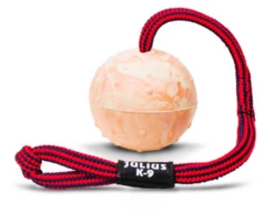Julius K9 Pelota Idc Con Asa -Suministros De Mascotas Ventas 2024 60323 5999053615611 2 g