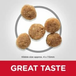 Hill's Pienso Science Plan Mini Senior +11 De Pollo Para Perros Senior De Razas Pequeñas -Suministros De Mascotas Ventas 2024 62899 atf10 52742283005 food shot 9 g