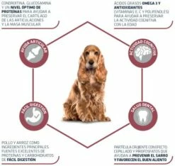 Advance Pienso De Pollo Y Arroz Para Perro Medium Senior -Suministros De Mascotas Ventas 2024 66 3 3 g