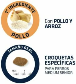 Advance Pienso De Pollo Y Arroz Para Perro Medium Senior -Suministros De Mascotas Ventas 2024 66 4 4 g