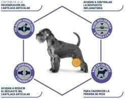 Advance Pienso Articular Reduced Calorie Para Perro -Suministros De Mascotas Ventas 2024 67678 3 4 g