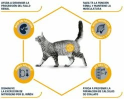 Advance Pienso Renal Para Gato 11 Advance Pienso Renal Para Gato -Suministros De Mascotas Ventas 2024 67753 3 3 g