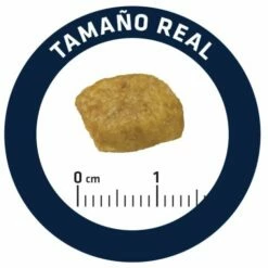 Advance Pienso Renal Para Gato 13 Advance Pienso Renal Para Gato -Suministros De Mascotas Ventas 2024 67753 5 5 g