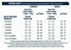 Advance Pienso Para Gato Junior Esterilizado -Suministros De Mascotas Ventas 2024 67756 6 6 g