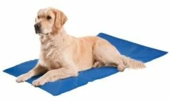 Duvo Plus Almohadilla Cooling Pad Fresk