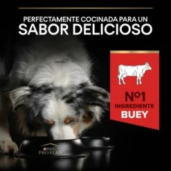 Pro Plan Duo Delice Adult Dog Buey -Suministros De Mascotas Ventas 2024 7613034083784 7 64d4f1bb67d78 g